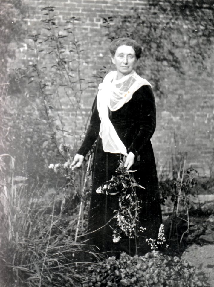 Flowers in the hand