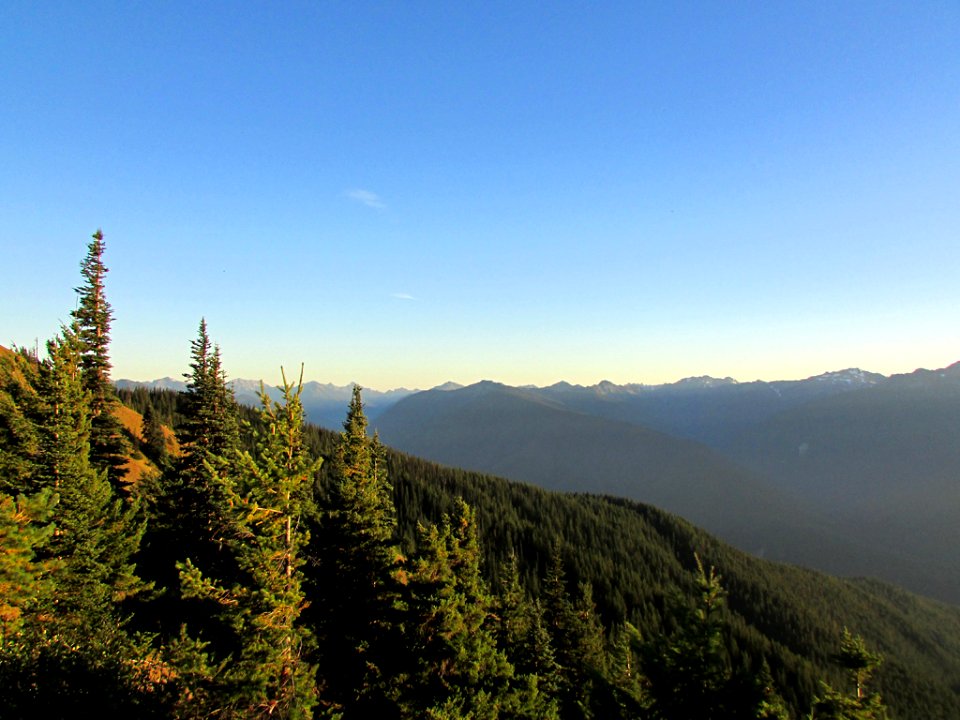 Hurricane Ridge at Olympic NP in WA
