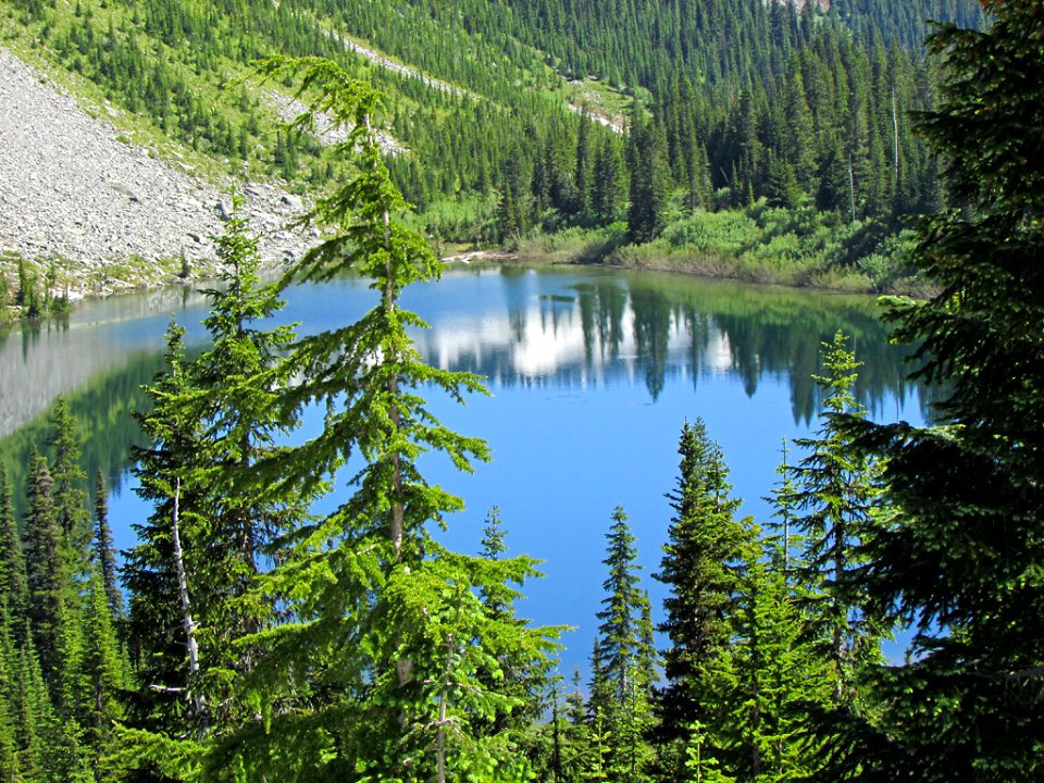 Mt. Rainier NP in WA