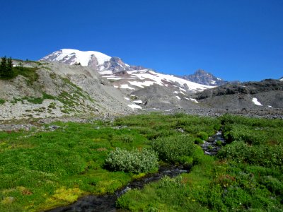 Paradise Skyline Trail at Mt. Rainier NP in WA photo