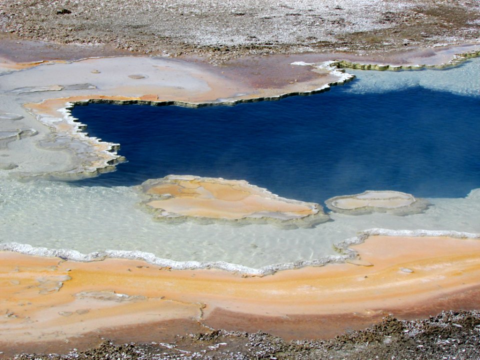 Yellowstone NP in WY
