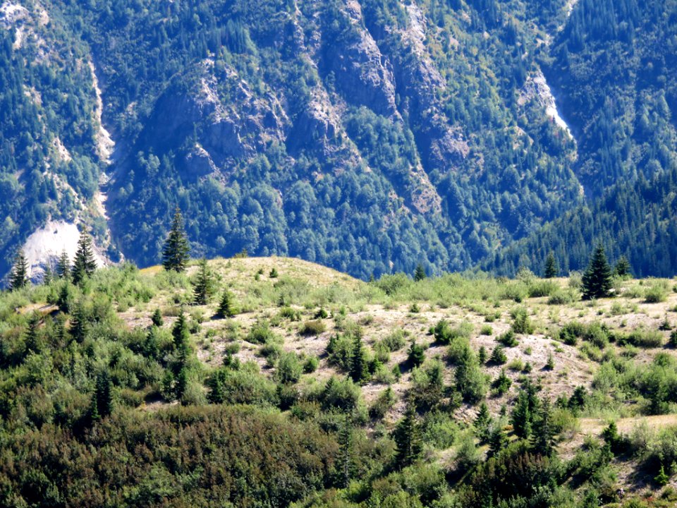 Truman / Loowit Trail at Mt. St. Helens NM in WA