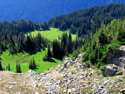 Mt. Rainier NP in WA photo