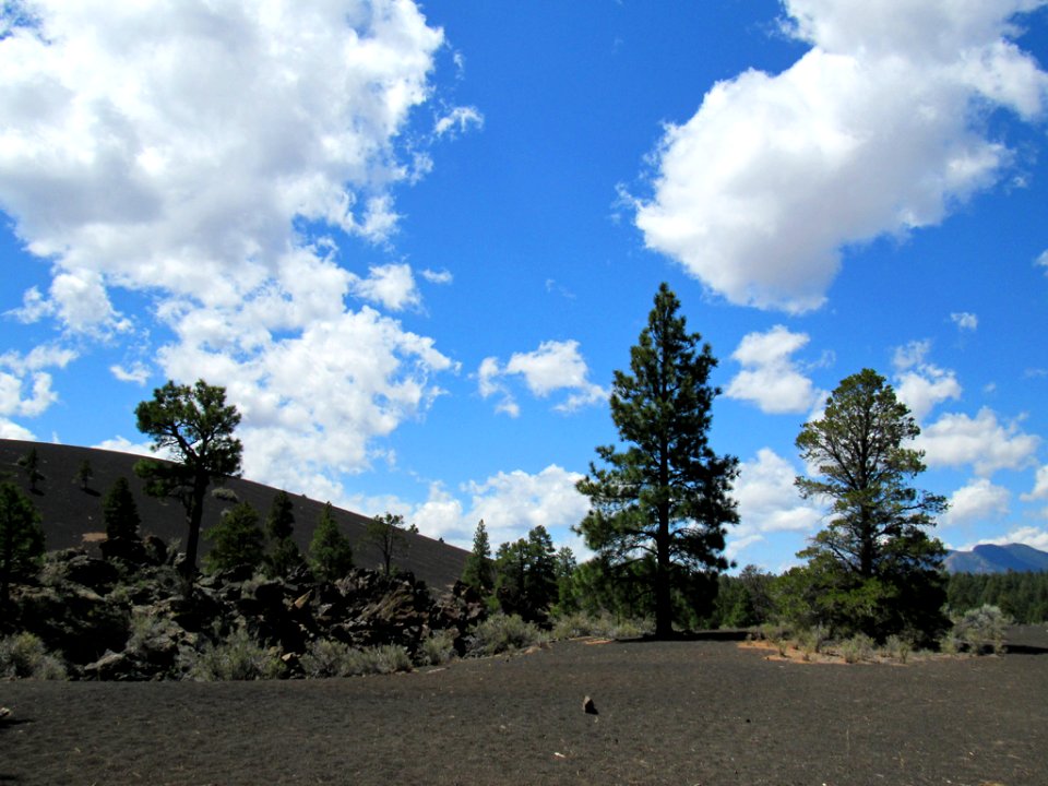 Sunset Crater Volcano NM in Arizona