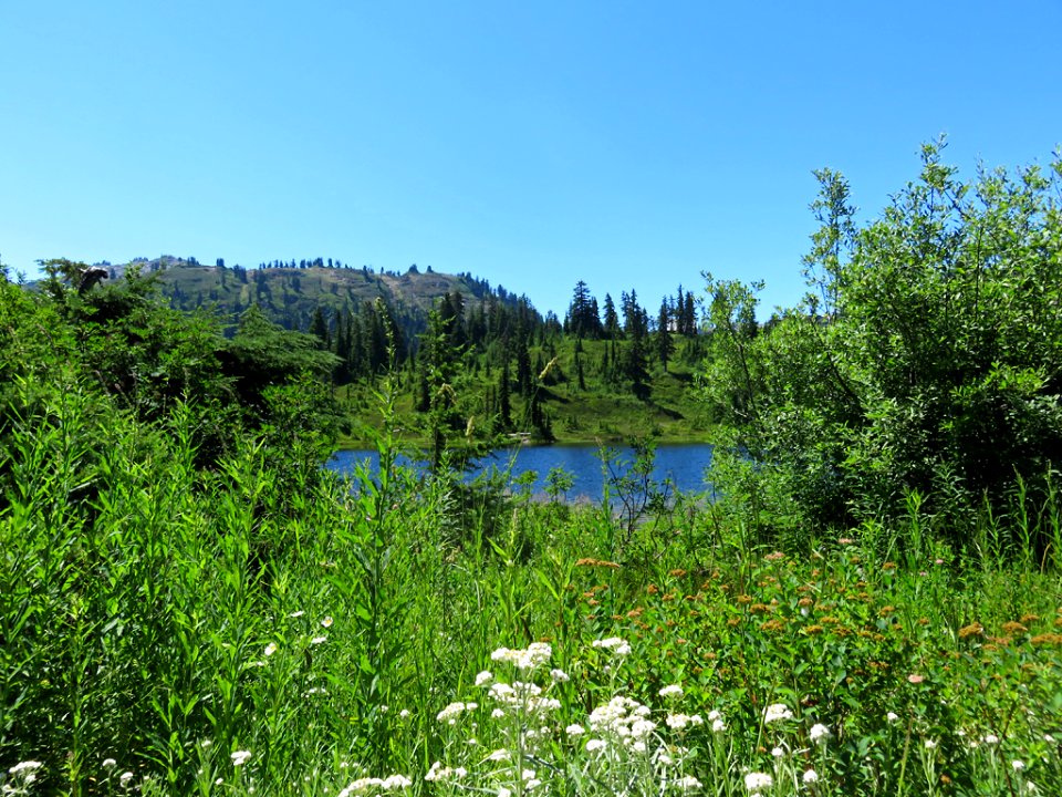 Mt. Baker-Snoqualmie NF in WA