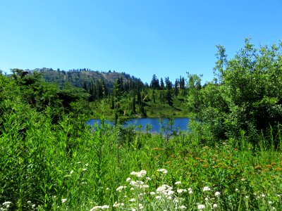 Mt. Baker-Snoqualmie NF in WA photo