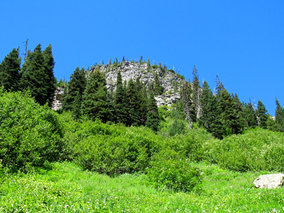 Maple Pass Trail at North Cascades NP in WA