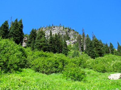Maple Pass Trail at North Cascades NP in WA