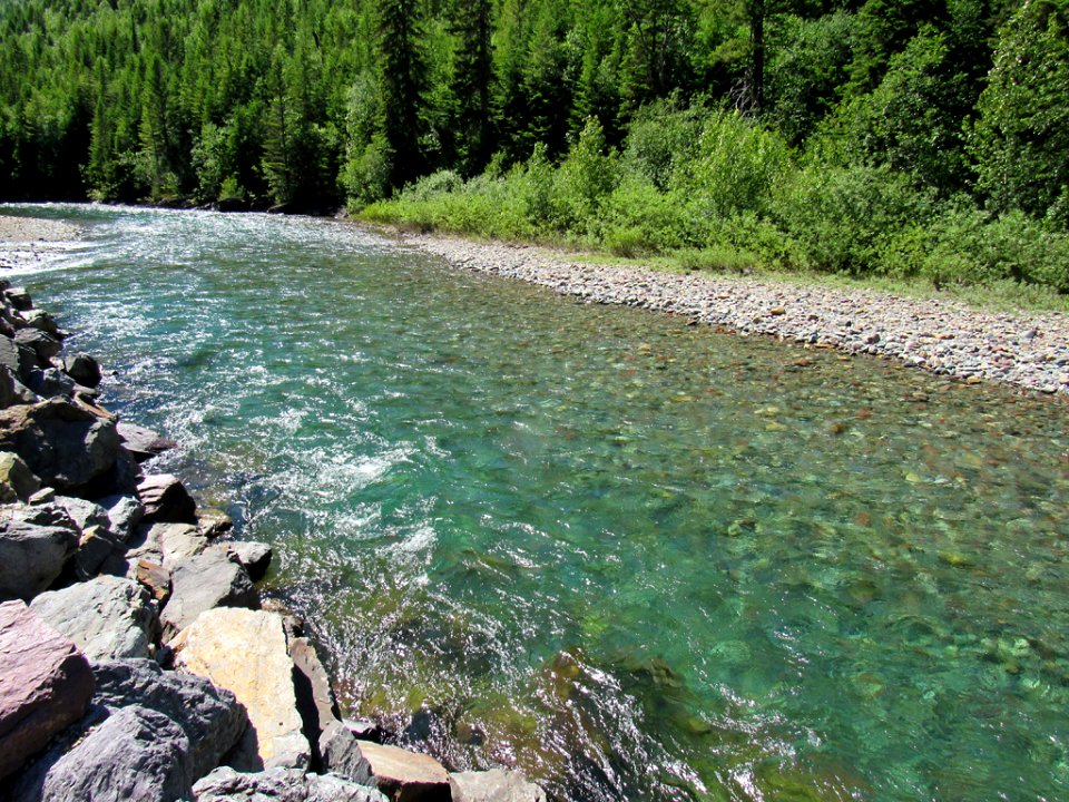 Flathead River at Glacier NP in Montana