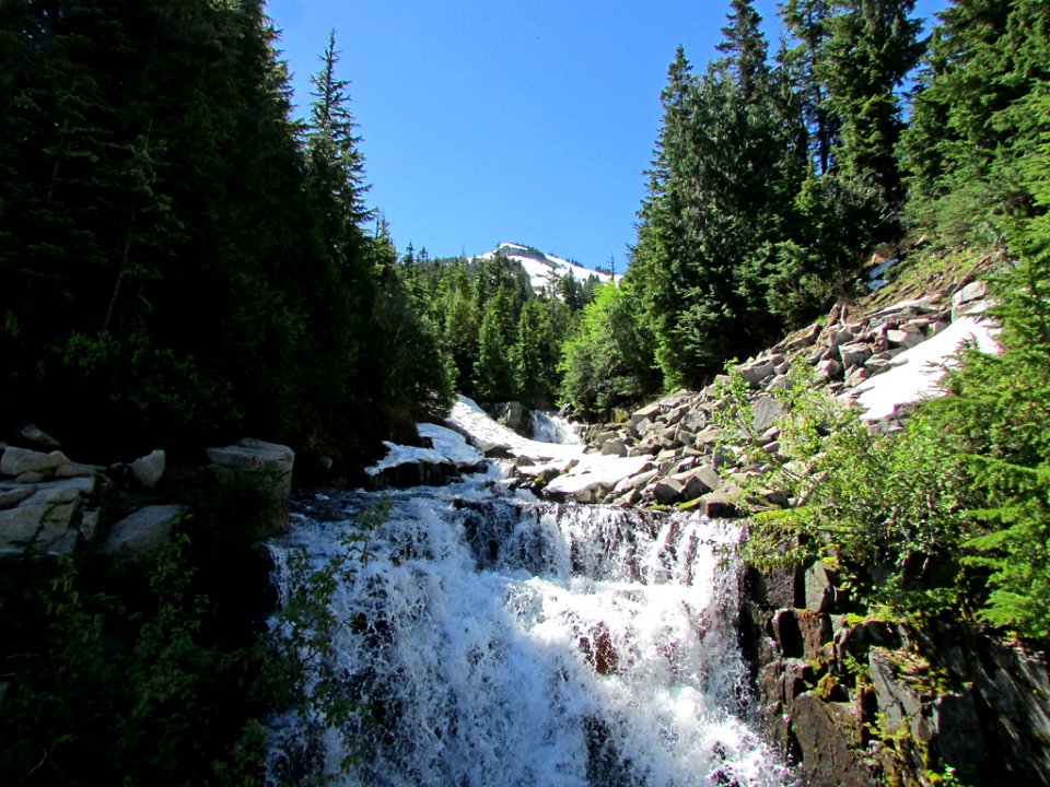 Mt. Rainier NP in WA