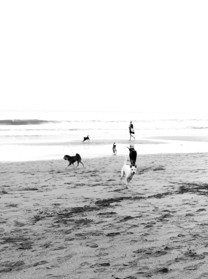 Beach run