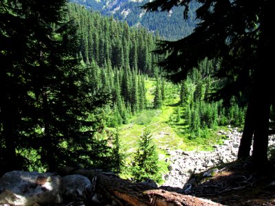 Maple Pass Trail at North Cascades NP in WA