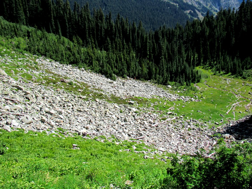 Maple Pass Trail at North Cascades NP in WA
