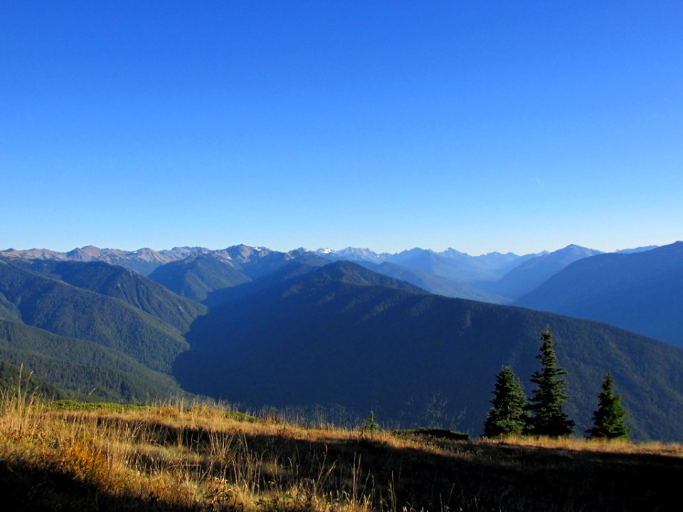 Hurricane Ridge at Olympic NP in WA