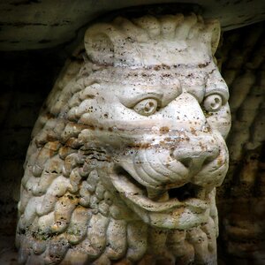 Fountain gargoyle face photo