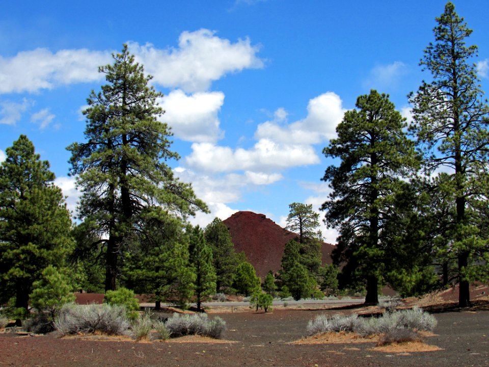 Sunset Crater Volcano NM in Arizona