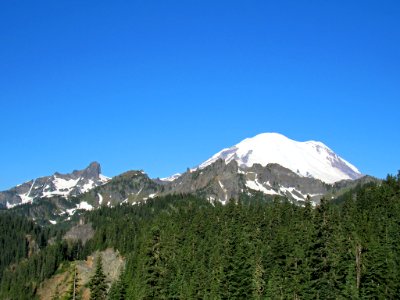 Mt. Rainier NP in Washington photo