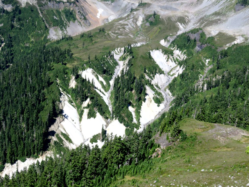 Mt. Baker-Snoqualmie NF in Washington