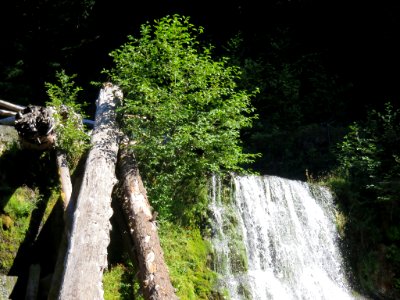 Lower Lewis River Falls in WA