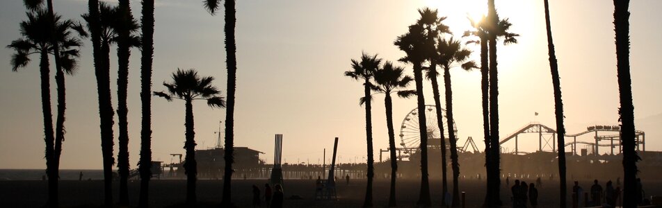 Palm trees santa monica pier photo