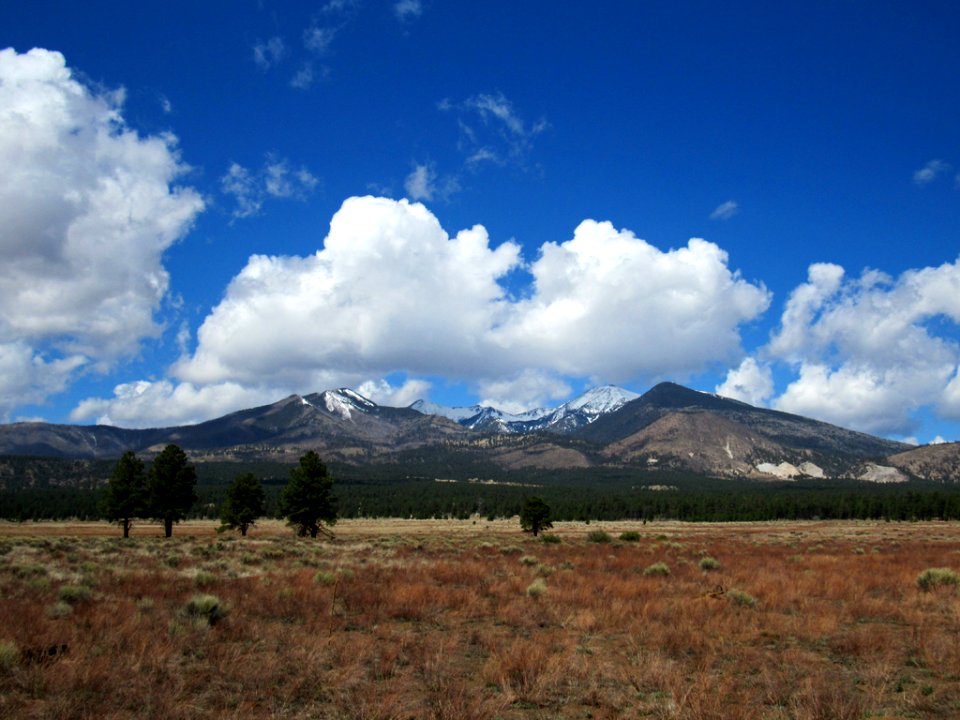 Sunset Crater Volcano NM in Arizona
