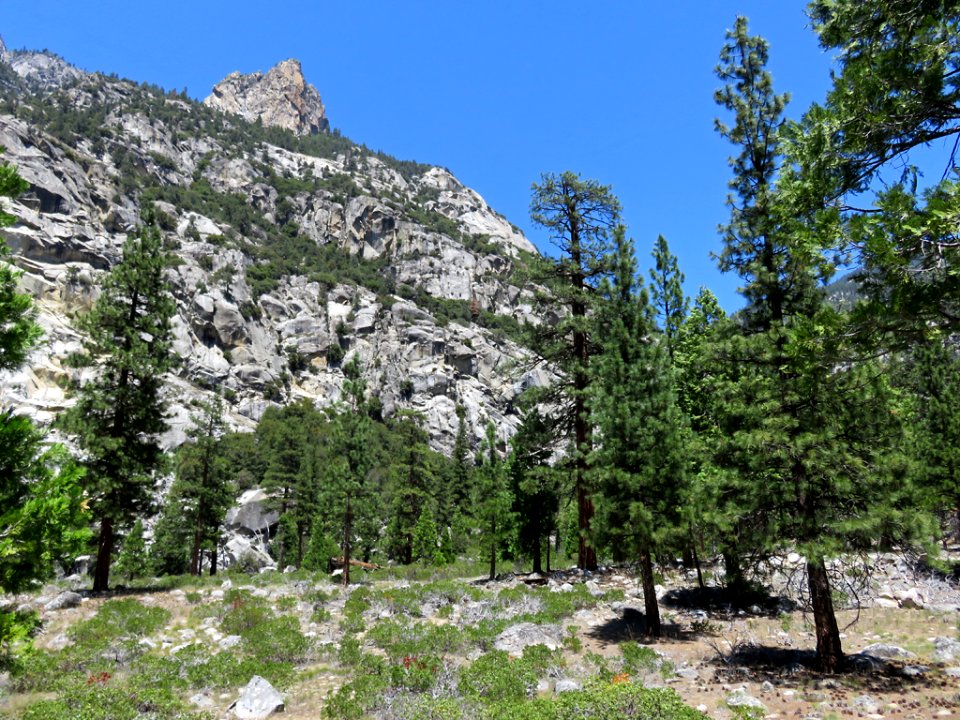 Cedar Grove at Kings Canyon NP in CA