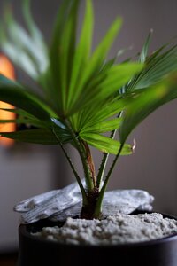 Pot flowerpot interior photo