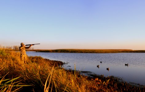 Waterfowl Hunting photo