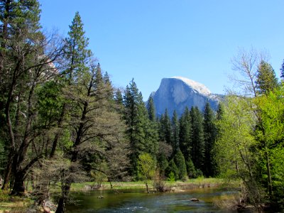 Half Dome at Yosemite NP in CA photo