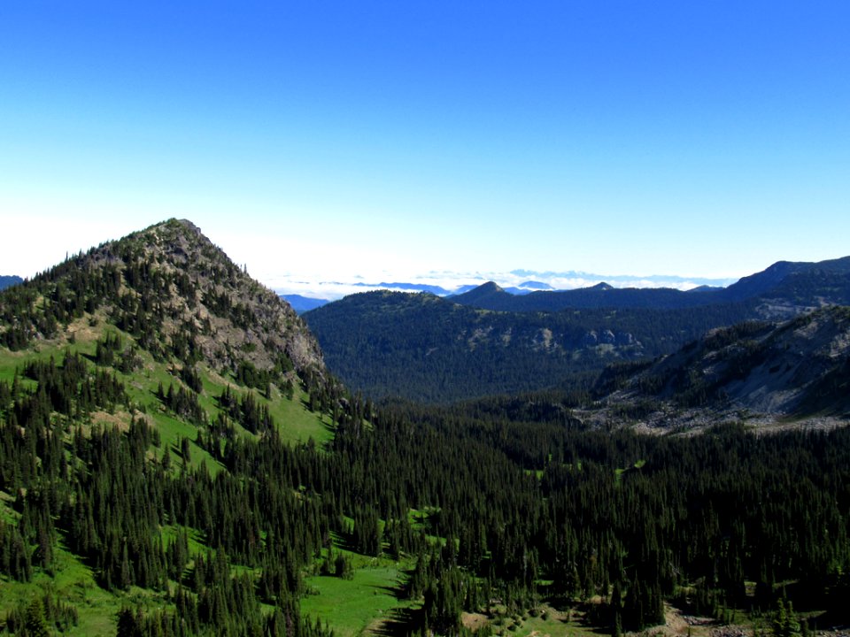 Mt. Rainier NP in WA