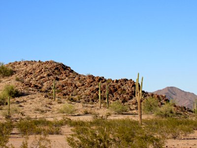 Sonoran Desert NM in AZ