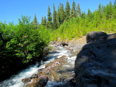 Lava Canyon Trail in Washington photo