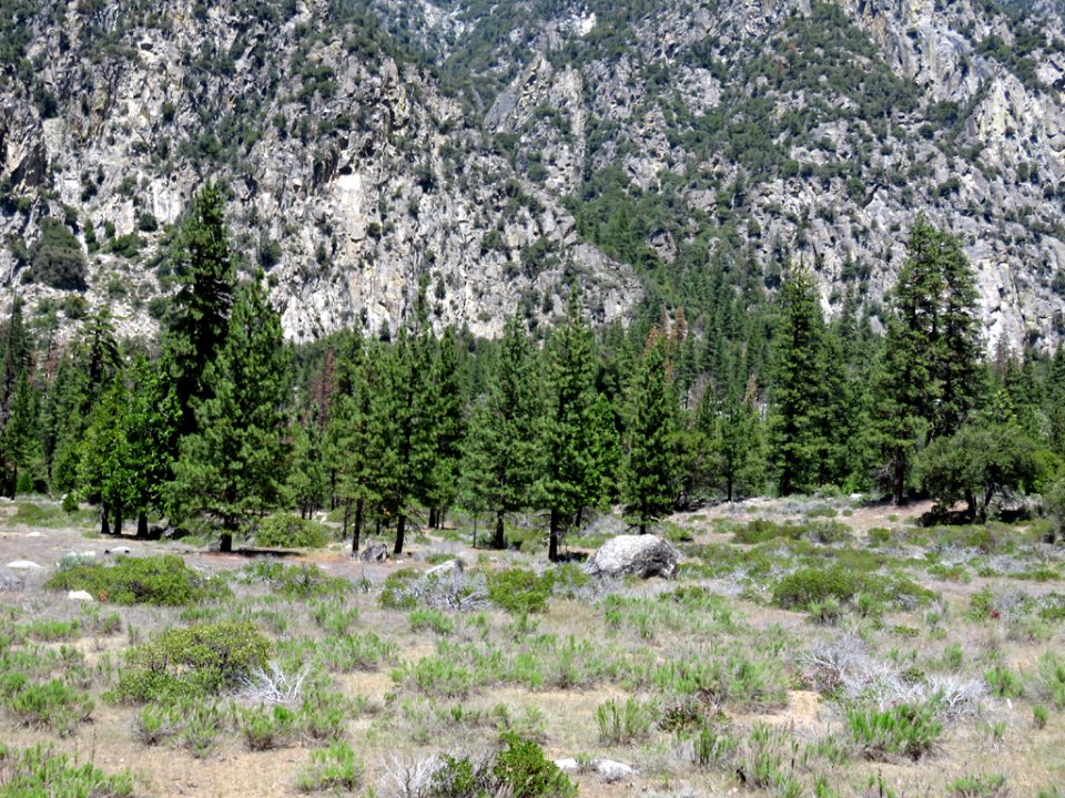 Cedar Grove at Kings Canyon NP in CA