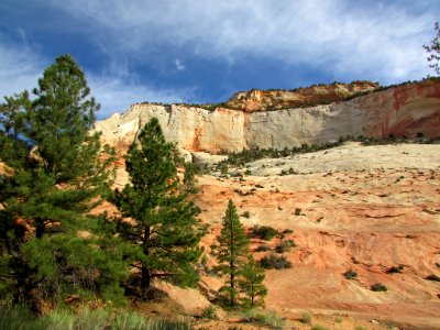 Zion NP in UT