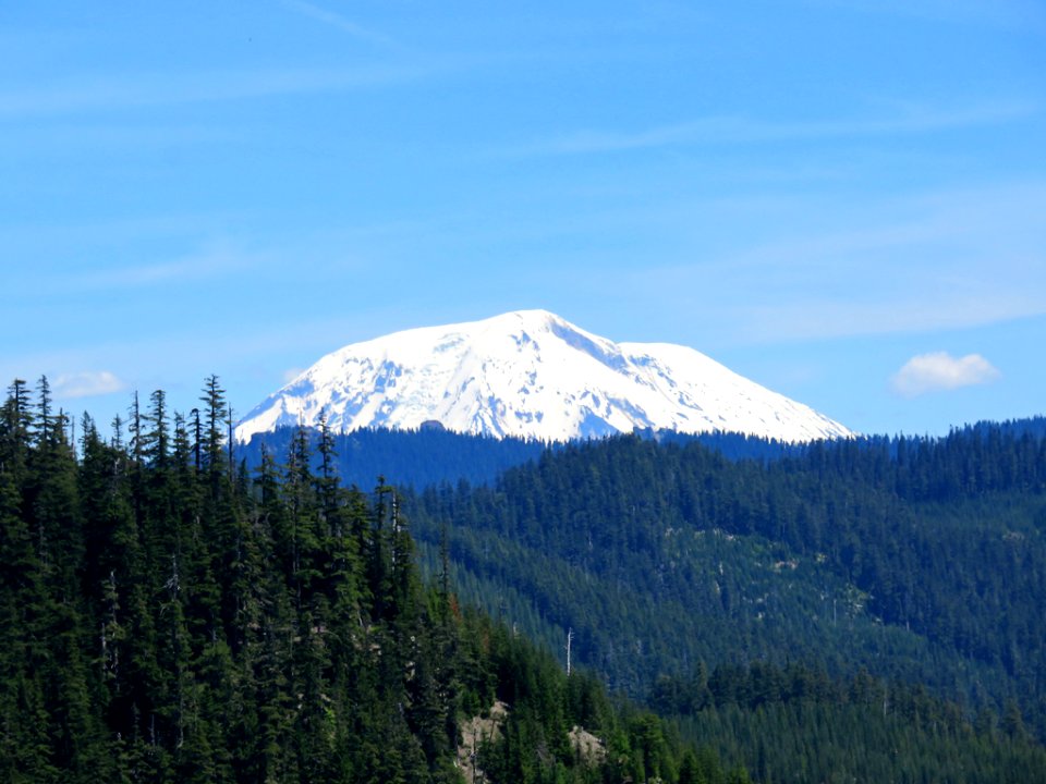Mt. Adams in WA