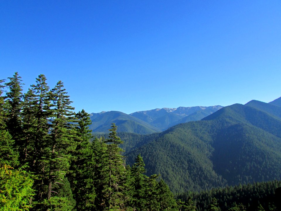 Hurricane Ridge at Olympic NP in WA