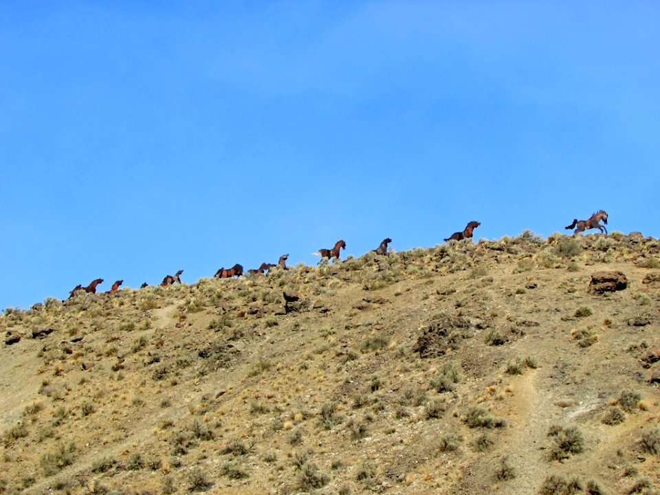 Wild Horses Monument at Columbia River Gorge in WA