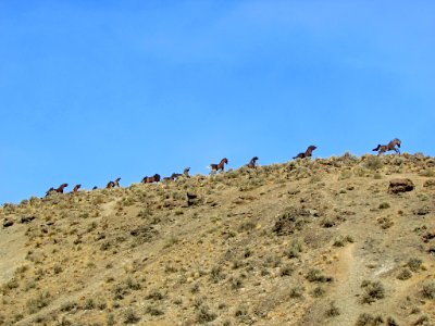 Wild Horses Monument at Columbia River Gorge in WA