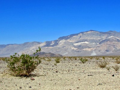 Death Valley NP in CA