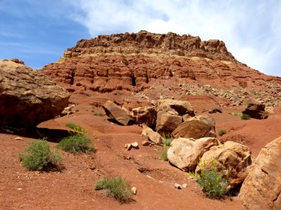 Navajo Land in AZ photo