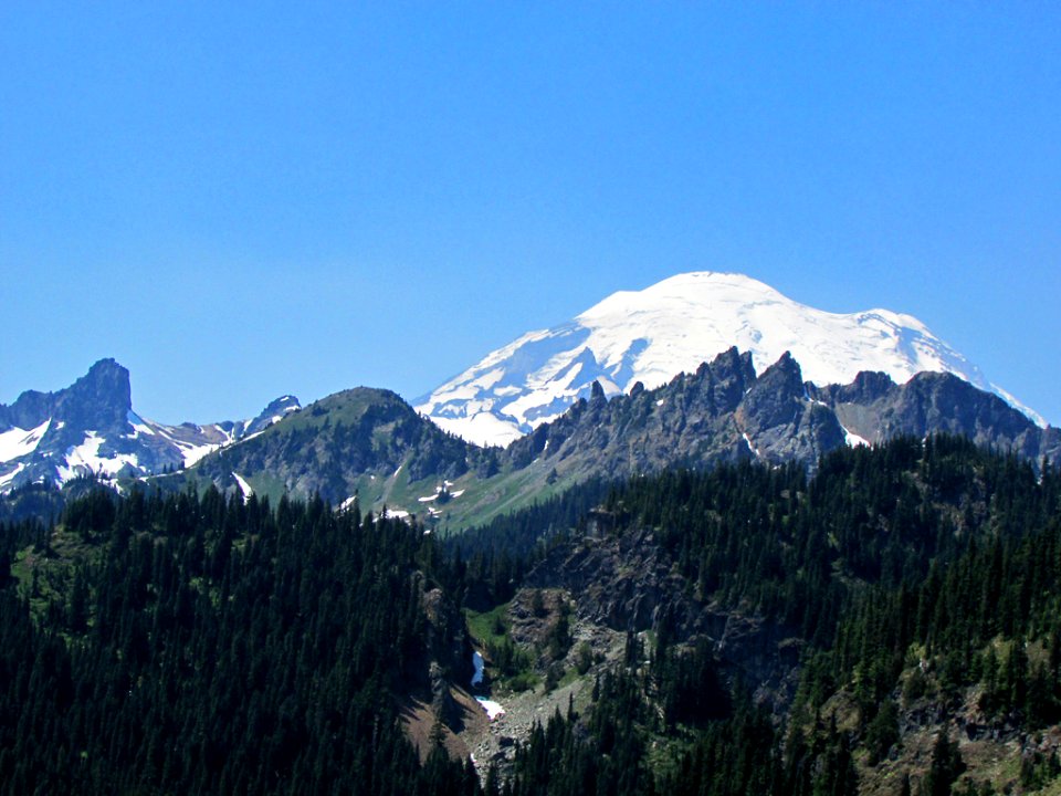 Mt. Rainier NP in Washington