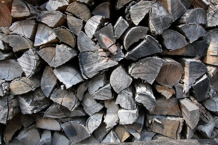 Annual zone wood also clearly sense