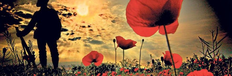This is the only photo that matters today in Flickr! Here is to all the brave service men who have served over the years #remebrancesunday