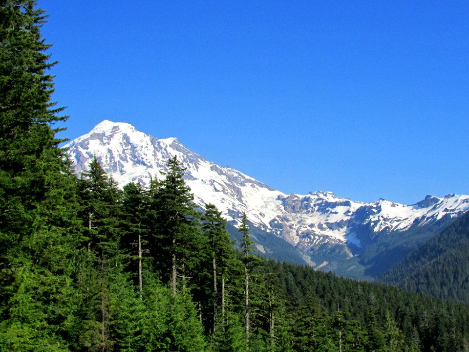 Mt. Rainier NP in Washington