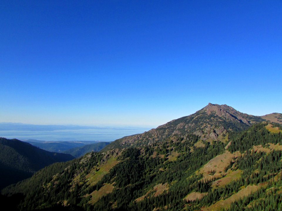 Hurricane Ridge at Olympic NP in WA
