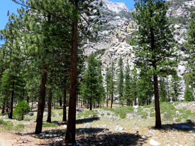 Cedar Grove at Kings Canyon NP in CA
