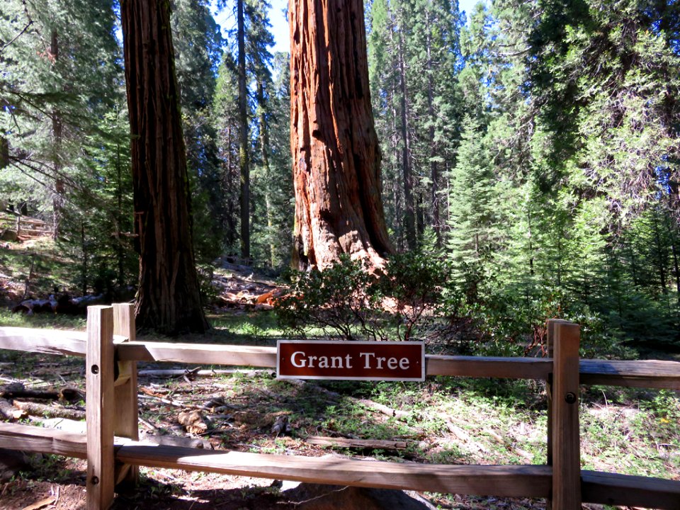 Kings Canyon NP in CA