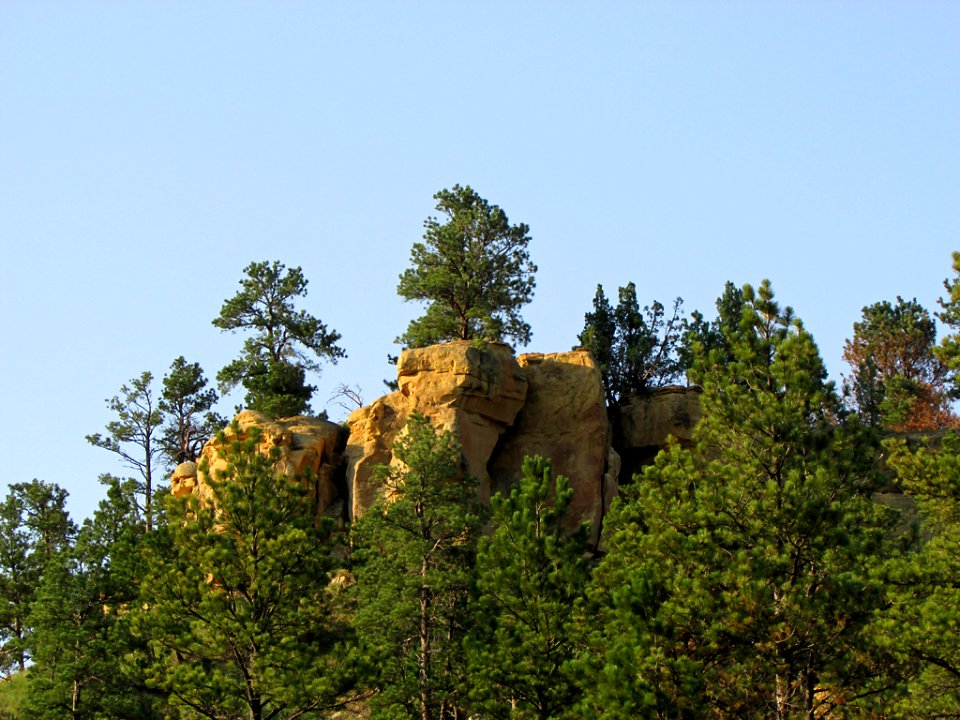 Devils Tower NM in WY