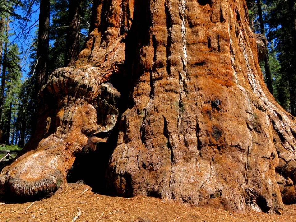 Kings Canyon NP in CA