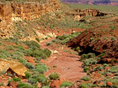 Navajo Land in AZ photo